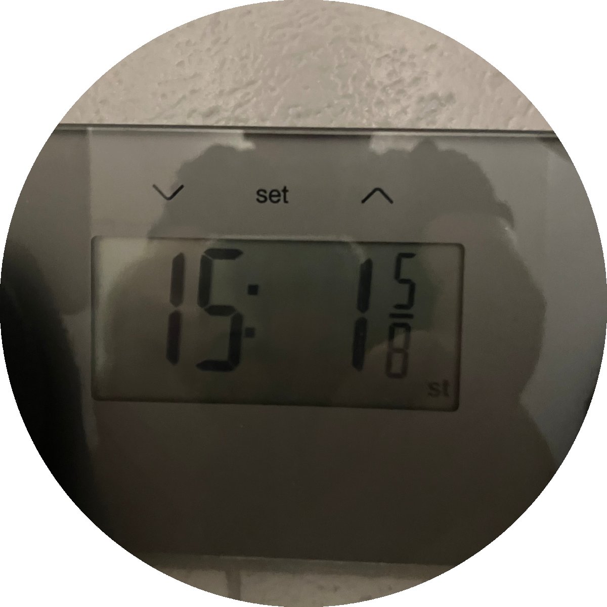 Thomas Jackson's profile pic