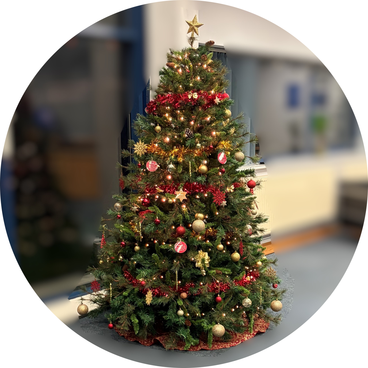 Magellan Aerospace (UK) Limited's profile pic