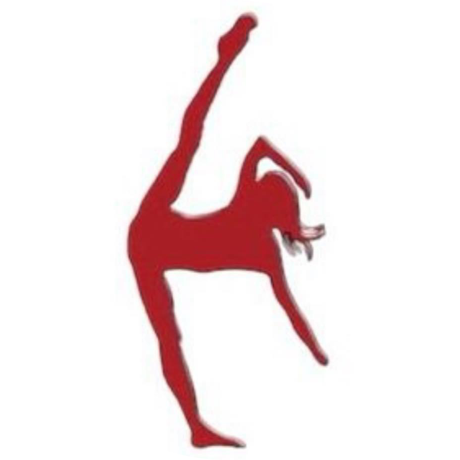 Tilt Gymnastics Sports Challenge Northern Ireland 2024 Northern