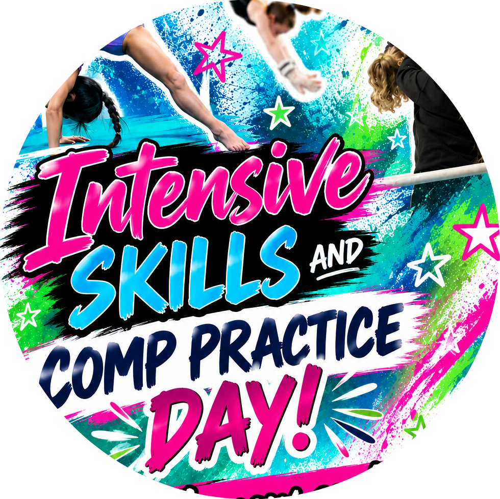 Intensive Skills & Comp Camps's profile pic