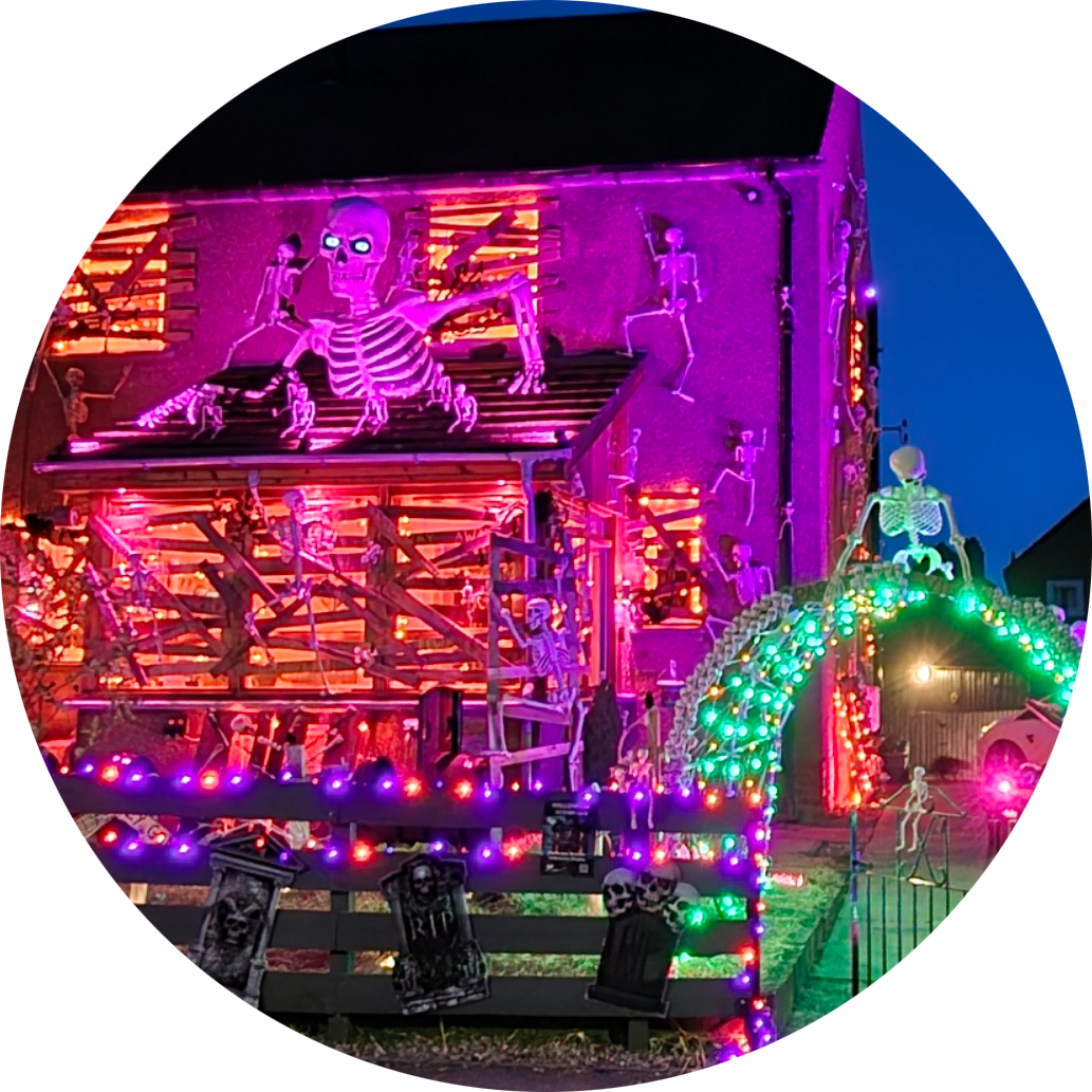 Fiona  Nicoll's profile pic