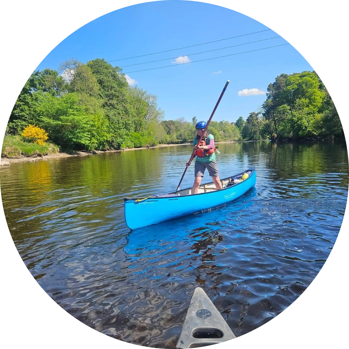 Janet Moxley's profile pic