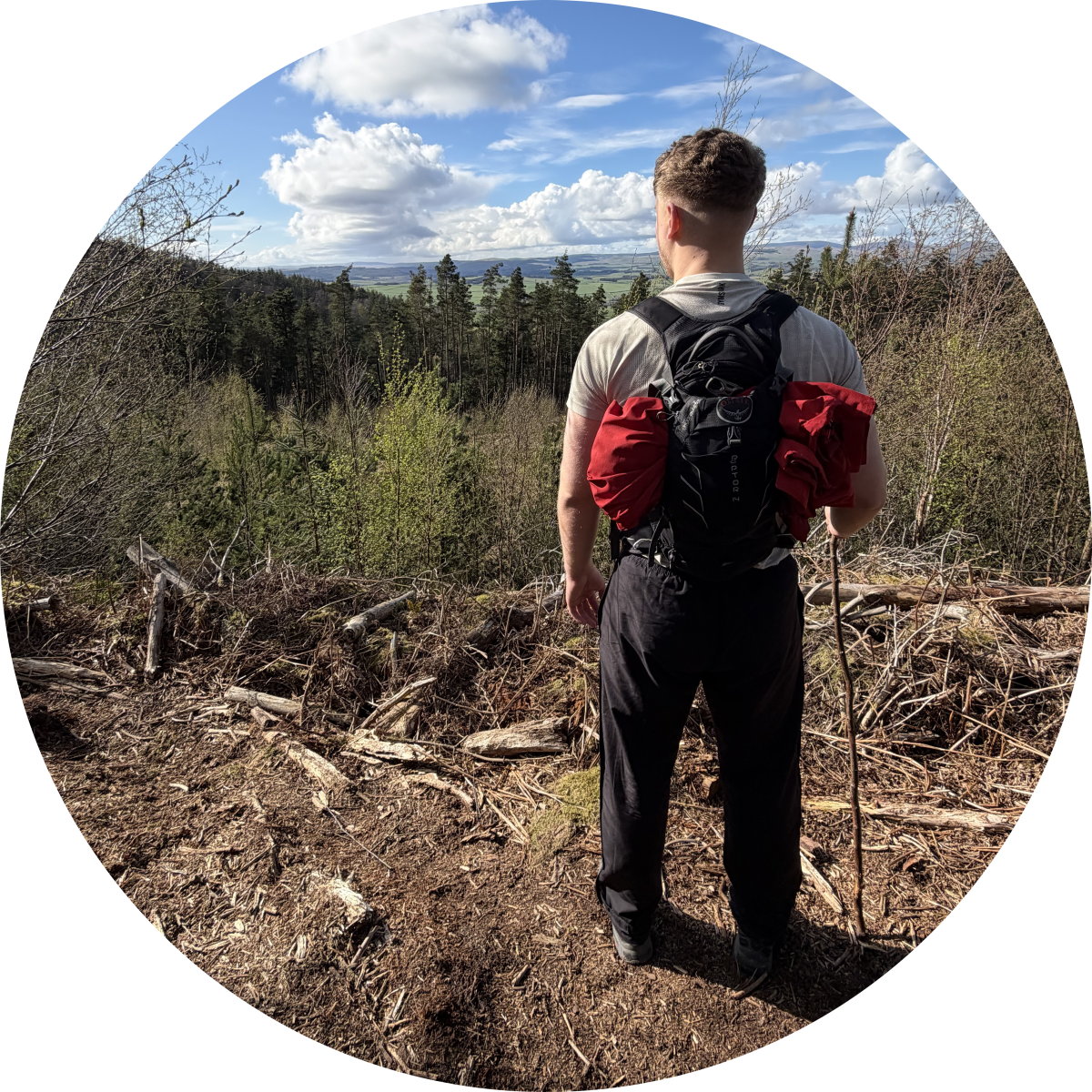 Daniel Taylor's profile pic