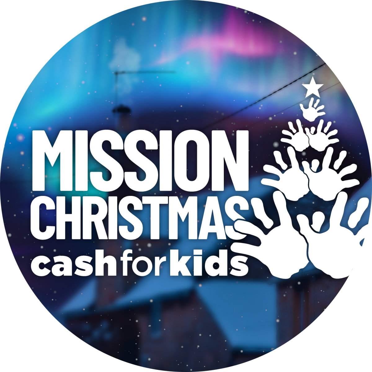 Mission Christmas Volunteer Fundraiser's profile pic