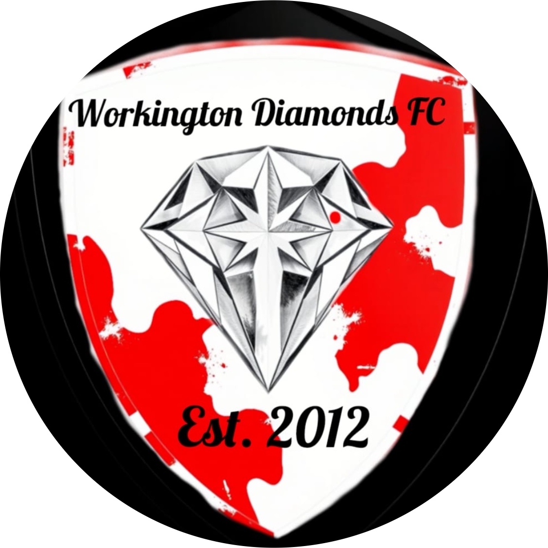 Workington Diamonds's profile pic