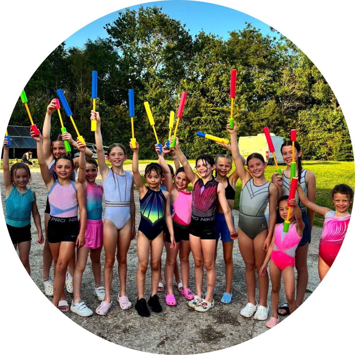 Chichester Coast Gymnastics Academy's profile pic