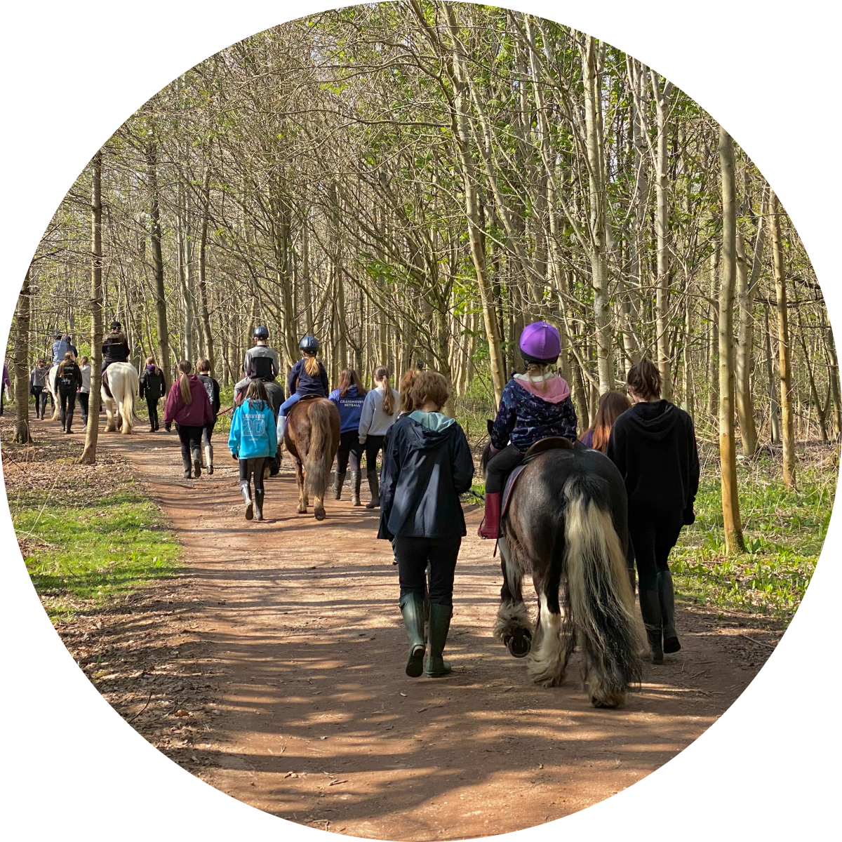 West Lothian RDA's profile pic