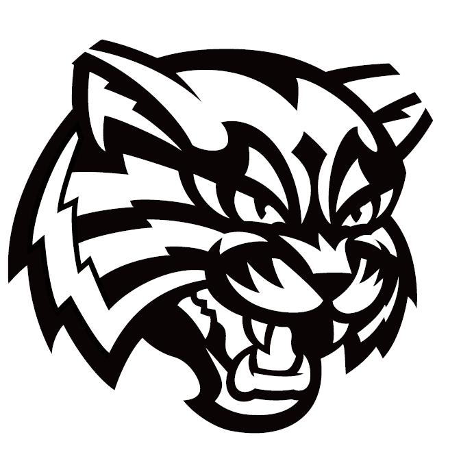 Inverness Blitz's profile pic