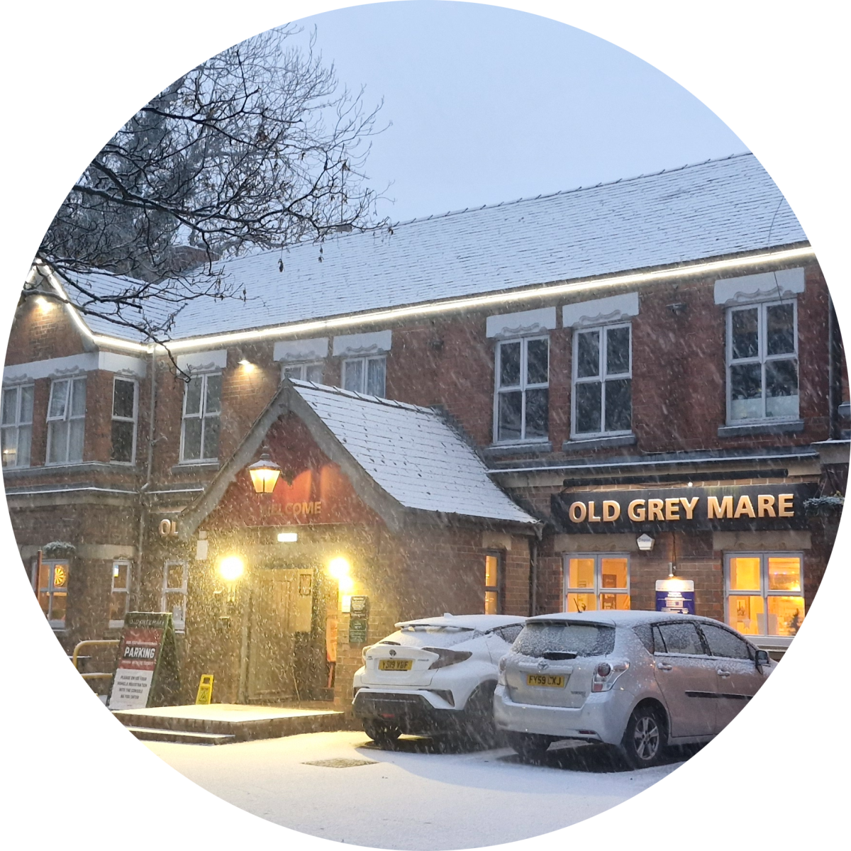 Old Grey Mare's profile pic