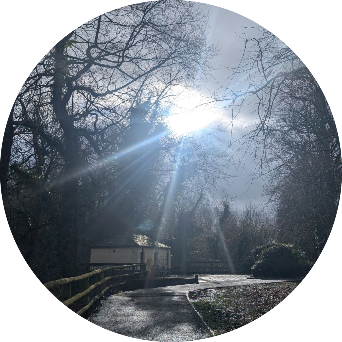 Clare Louise's profile pic